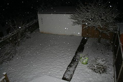 snow in the back garden